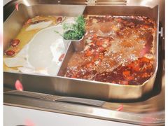 -九鼎轩脆毛肚火锅(南京东路店)
