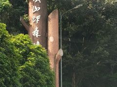 -铁山坪森林公园