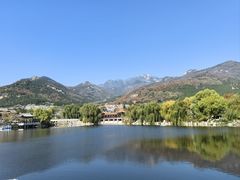 -鲁菜根·泰山菜(泰山店)