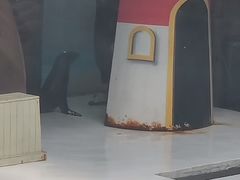 -锦艺城海洋馆