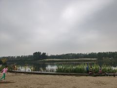 -东郊湿地公园