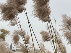 -朝阳公园