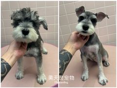 -FAELING PETS美天灵宠物(富力广场店)
