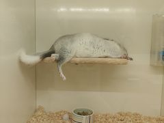 -龙猫仔乐园(惠福东路店)