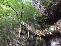 -永泰中国云顶