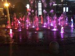 -紫荆广场·花漫里