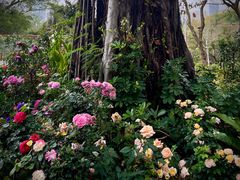 -人民公园(罗湖区)