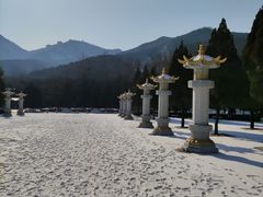 -龙口南山旅游景区