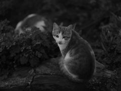 -潭柘厚院(桑峪村店)