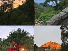 -泰山风景名胜区