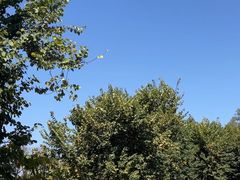 -广州雕塑公园