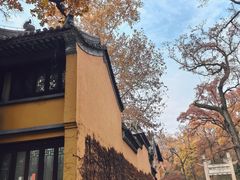 -灵谷景区