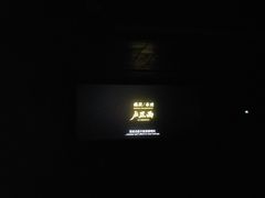 -华星国际影城