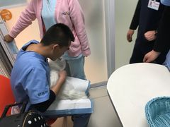 -纳吉亚猫专科动物医院博雅分院
