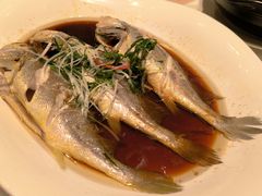 -桃源咖啡厅(武夷山大红袍山庄店)