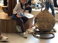 -飞行喵MR PILOT|猫舍·猫咖(静安大融城店)