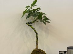 -芳姐重庆名小吃(八宝前街店)