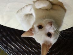 雅米拉瑜伽舞蹈STUDIO(虹口足球场店)-雅米拉艺术中心(少儿舞蹈培训)