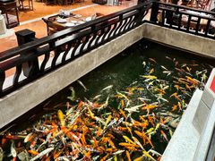 -龙悦湾酒家·八阵鱼生·渔人码头店