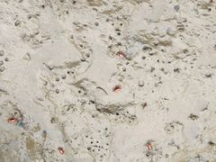 -北海金海湾红树林生态旅游区