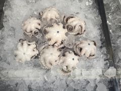 -铭聚章鱼土笋冻(松柏店)