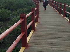-北海金海湾红树林生态旅游区
