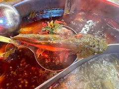 -青山青豆花·笑禅豆腐鱼(黄泥塝店)