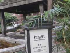 -融汇温泉