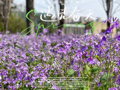 -白塘生态植物园