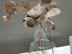 -娜娜家·Nana's restaurant(国金汇店)