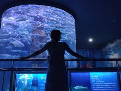 -厦门海底世界