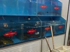 -鱼教头石泉老街石锅鱼(高新店)