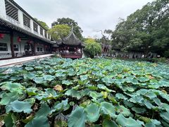 -上海醉白池公园