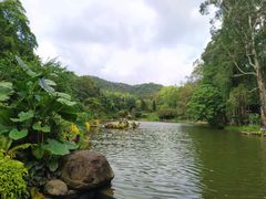 -深圳仙湖植物园