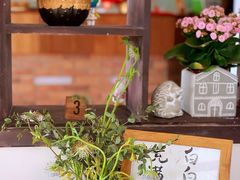 -月迷津渡(吾悦国际店)