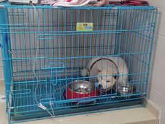 -爱侣·安琦尔宠物医院·中兽医针灸·心内科·狂犬免疫点(宝山区院)
