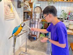 -吉丁鸟咖·异宠·寄养