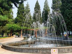 -中央民族大学