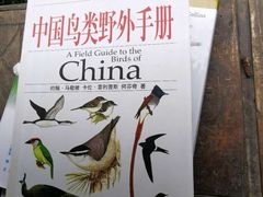-北京麋鹿生态实验中心