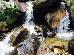 -黑河国家森林公园