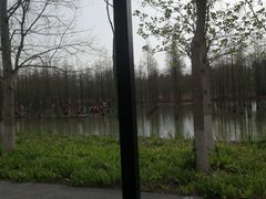 -泗洪洪泽湖湿地景区