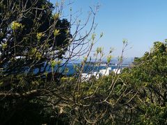 -南紀白浜 浜千鳥の湯 海舟