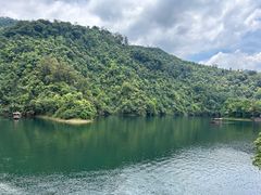 -鼎湖山风景区