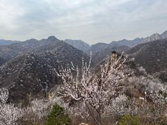 -何适山庄 ·可团建(水长城P2停车场店)