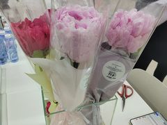 -大视光学•LINDBERG林德伯格•全球手工眼镜集合店(王府井店)