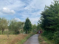 -南湖湿地公园