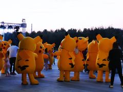 -河北省园博园