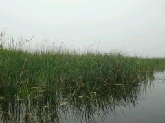 android_upload_pic-白洋淀景区