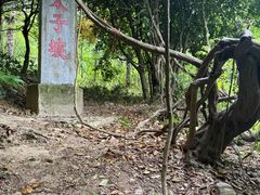 -武当山风景区-太子坡