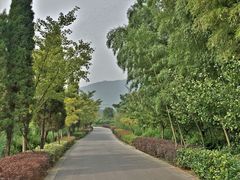 iphone_upload_pic-旺山景区